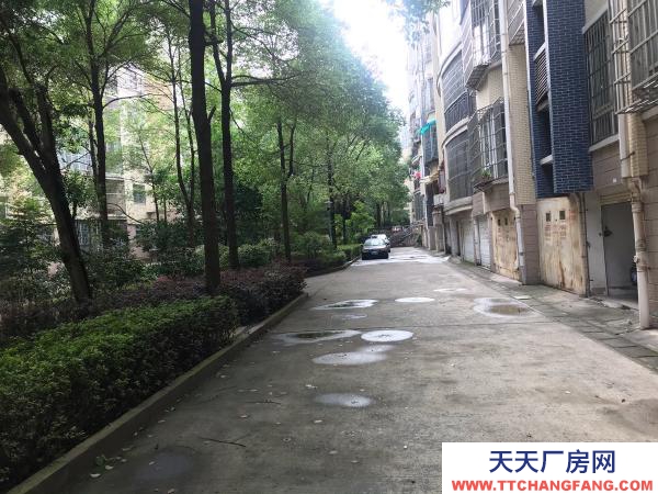 株洲市天元區(qū)珠江南路珠江麗園內(nèi)5棟下車庫出租