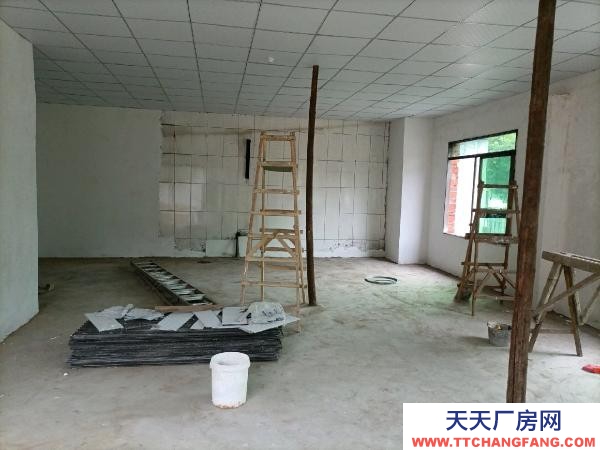 株洲市天元區可整租可分租！另有單間住房出租！