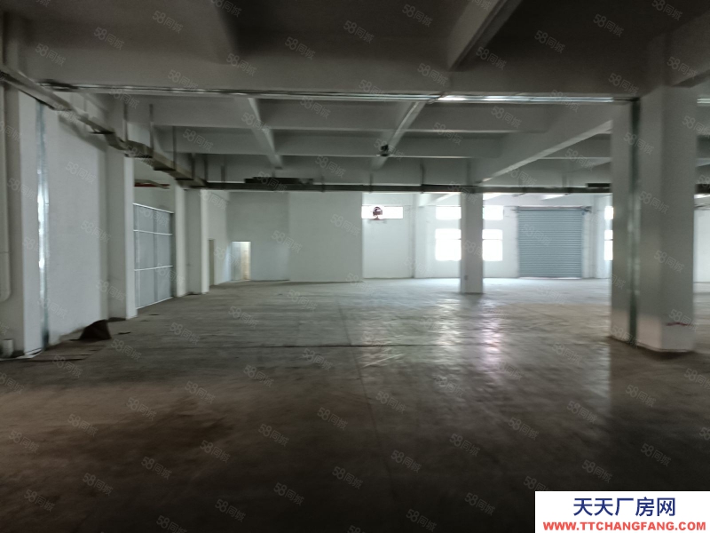 (出租) 東莞麻涌大型倉物流倉儲公寓宿舍廚房證件齊全廠房出租低價出租