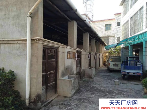 株洲市天元區河西工業大學附近 廠房 倉庫 空坪 出租