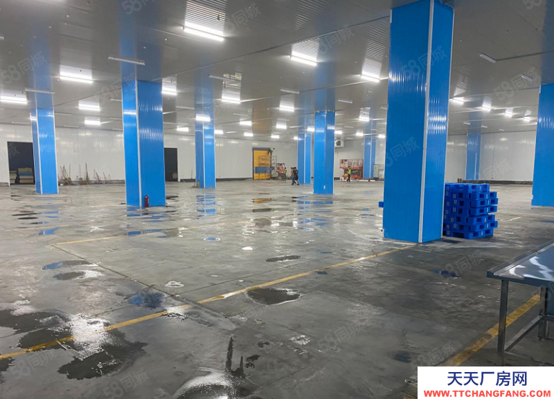 (出租) 東莞麻涌高標冷倉可長租可短租