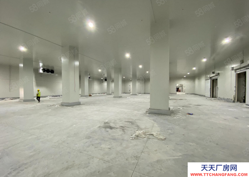 (出租) 東莞麻涌高標冷倉可長租可短租