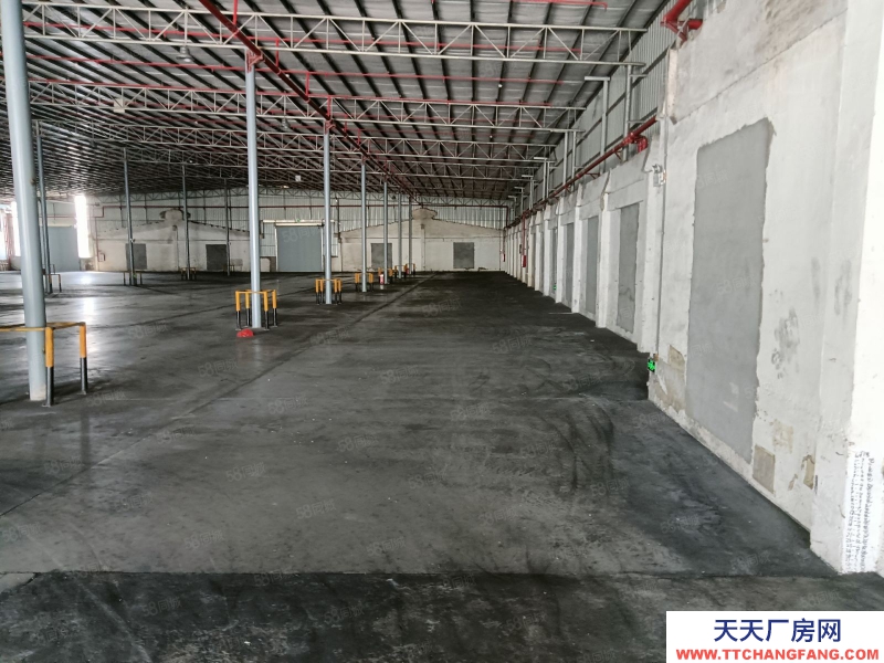 (出租) 東莞麻涌 原房東2.2萬平米 高臺倉庫 實量出租