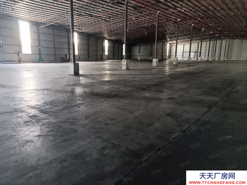 (出租) 東莞麻涌 原房東2.2萬平米 高臺倉庫 實量出租