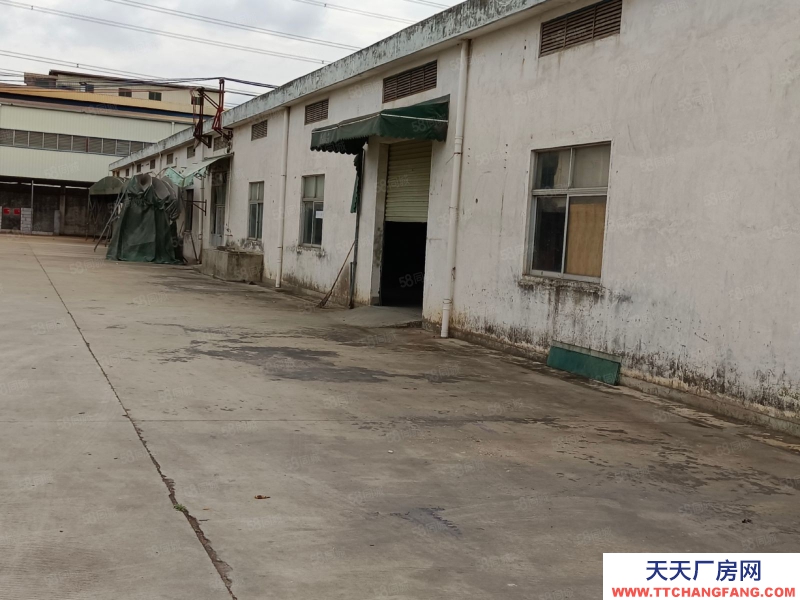 (出租) 東莞謝崗鎮粵海產業園附近倉庫直租,大小面積可分!