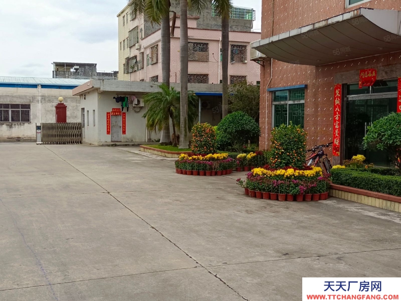 (出租) 東莞謝崗鎮粵海產業園附近倉庫直租,大小面積可分!