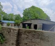 (出租) 襄陽棗陽出租棗陽市環城養豬場價格面議