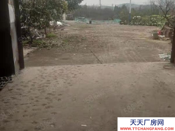 株洲市荷塘區大道株瀏路口房東自建廠房倉庫優價出租