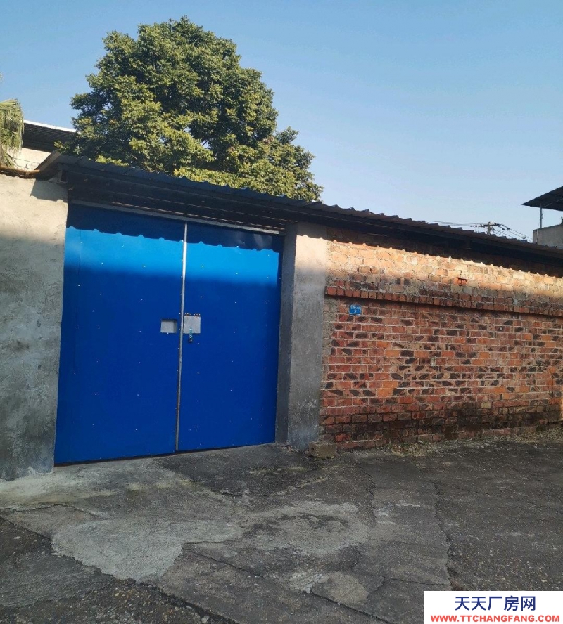 (出租)南寧市西鄉(xiāng)塘區(qū) 美麗南方附近