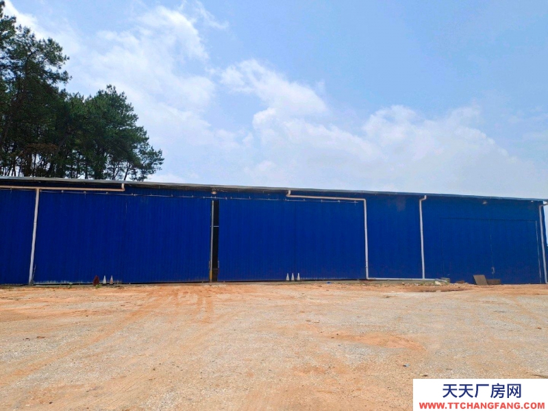 (出租) 南寧市西鄉塘區石埠,倉庫場地面積500-9000平米