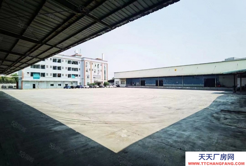 (出租) 東莞高埗鎮獨院單一層高臺物流倉22600平 帶卸貨平臺可分租