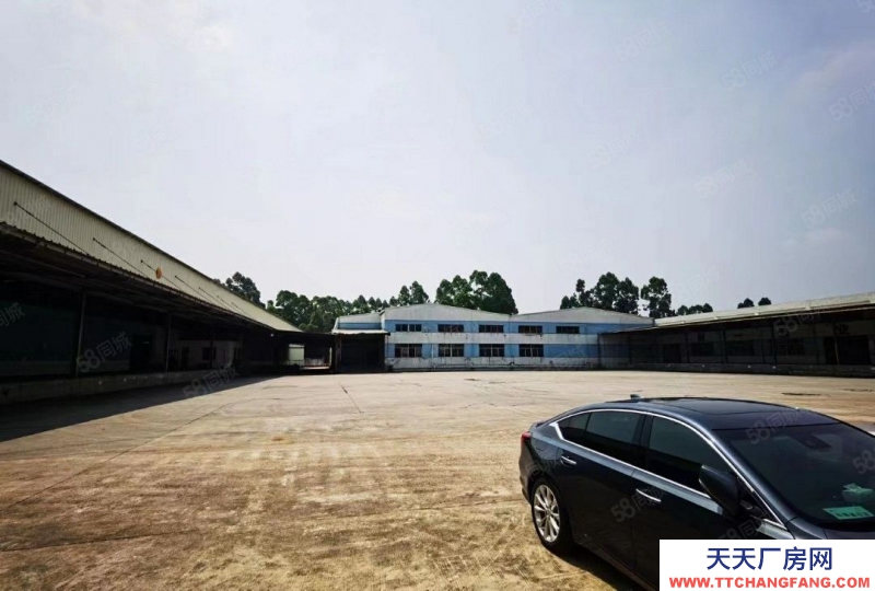 (出租) 東莞高埗鎮獨院單一層高臺物流倉22600平 帶卸貨平臺可分租