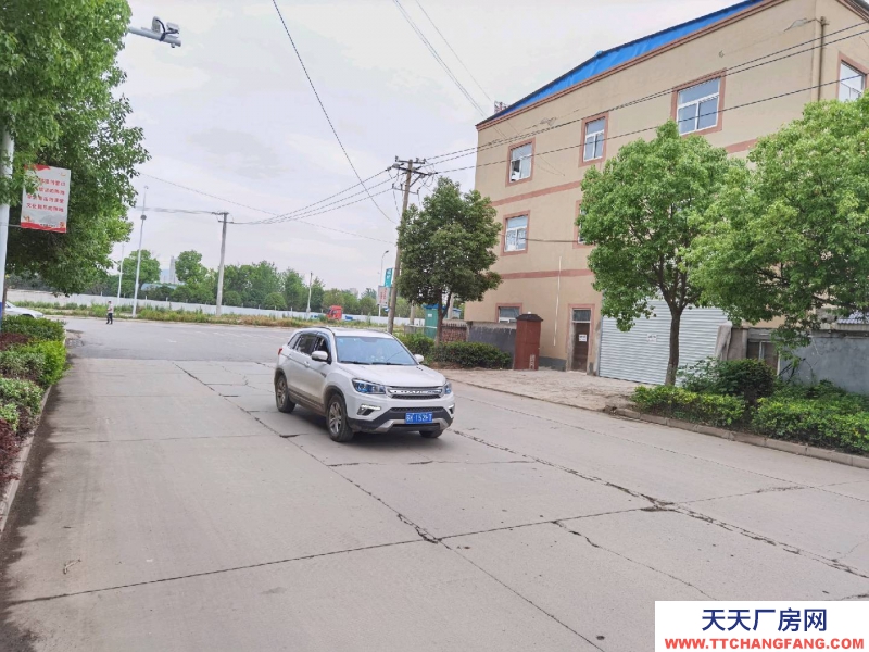 (出租) 蚌埠懷遠乳泉大道899號五橋東頭橋北拐角處。