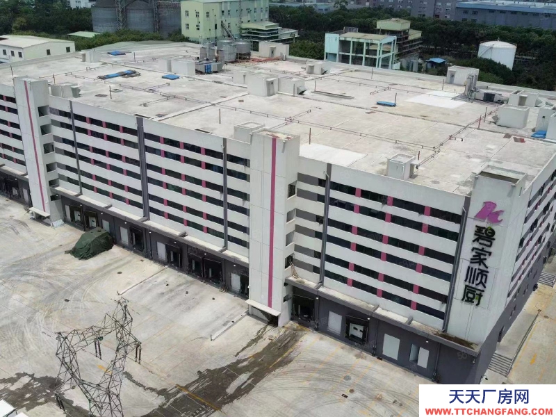 (出租) 東莞麻涌大型物流倉紅本證件齊全公寓宿舍大型中央廚房冷庫廠房低價租