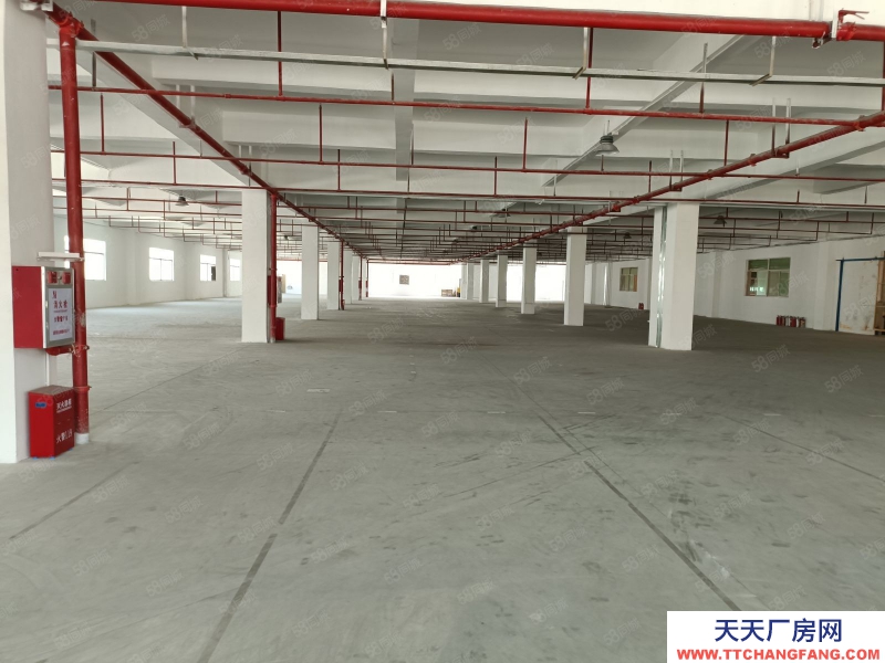 (出租) 東莞原房東高速路口港口麻涌新沙港附近倉庫低價廠房出租
