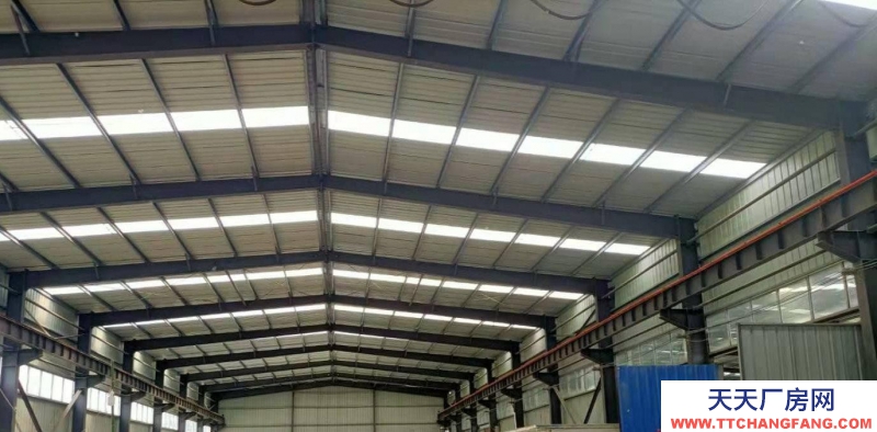 (出租) 蚌埠懷遠龍亢全新鋼結構標準廠房