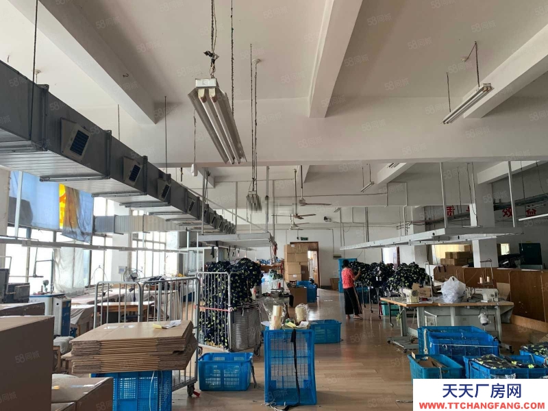 寧波海曙(出租) 古林一樓廠房1150平出租27元6米高80KV