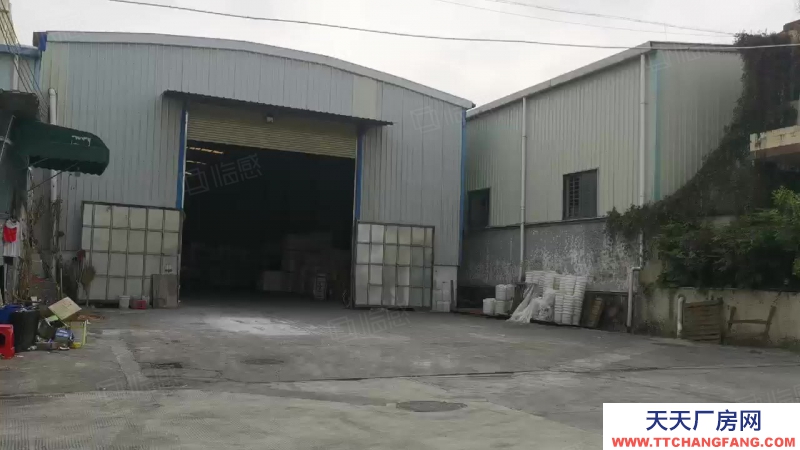 (出租) 東莞低價,東城廠房出租,獨門獨院1350平,無公攤,中間無柱子