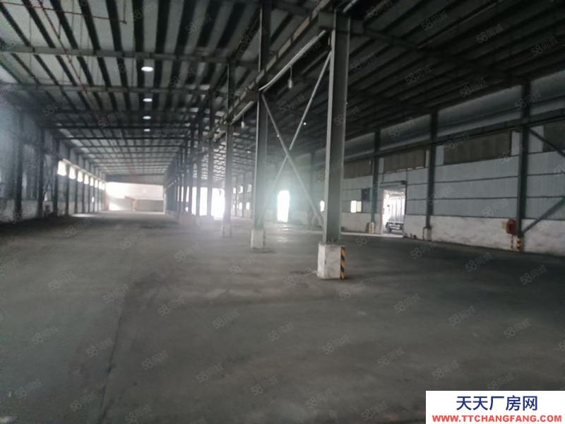 (出租) 東莞臨深鳳崗鎮(zhèn)8米帶牛角鋼結(jié)構(gòu)獨(dú)院5000平方,1000平起分租