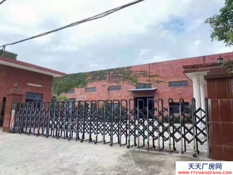 (出租) 東莞臨深鳳崗鎮(zhèn)8米帶牛角鋼結(jié)構(gòu)獨(dú)院5000平方,1000平起分租