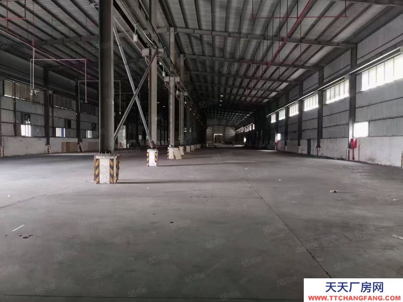 (出租) 東莞臨深鳳崗鎮(zhèn)8米帶牛角鋼結(jié)構(gòu)獨(dú)院5000平方,1000平起分租