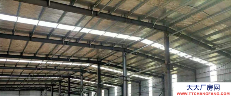 (出租) 蚌埠懷遠本地標準化鋼結構廠房出租