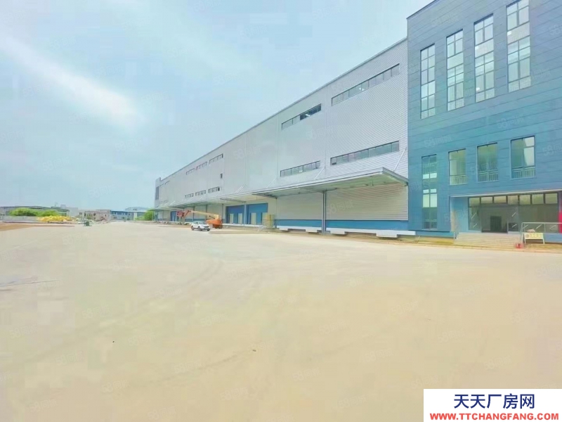 (出租) 東莞常平高速出口附近新出標(biāo)準(zhǔn)物流倉庫50000平方可以分組