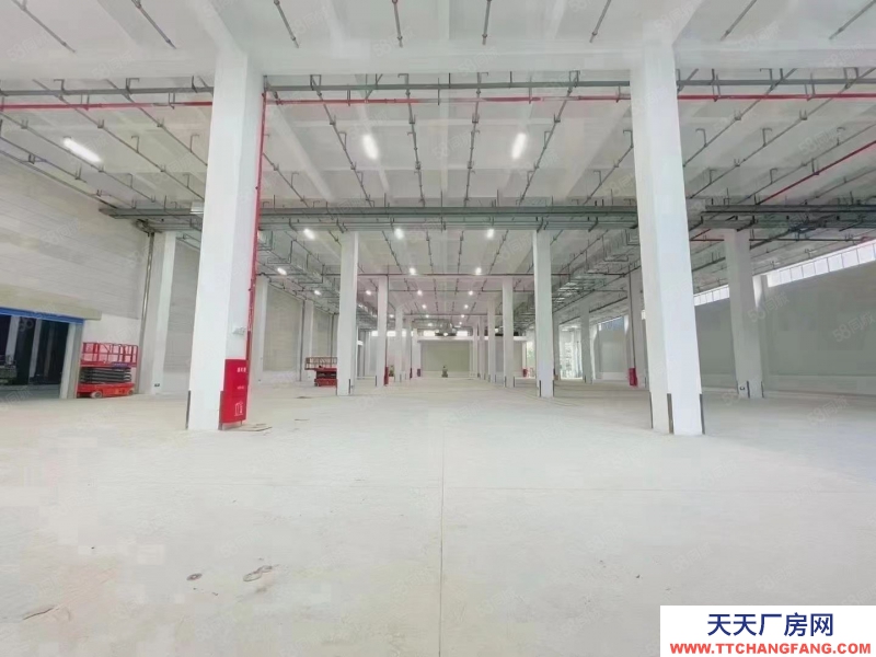 (出租) 東莞常平高速出口附近新出標(biāo)準(zhǔn)物流倉庫50000平方可以分組