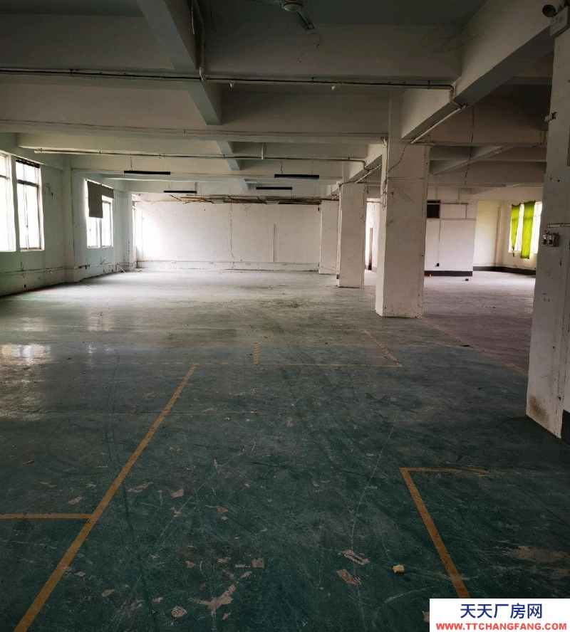 (出租) 南寧市西鄉(xiāng)塘區(qū)標(biāo)準(zhǔn)廠房,第三層,可做倉(cāng)儲(chǔ),層高4.3米,受力2噸,有貨梯,