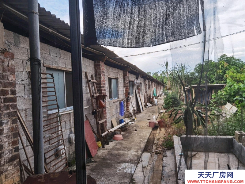 (出租) 南寧市西鄉塘西鄉塘周邊