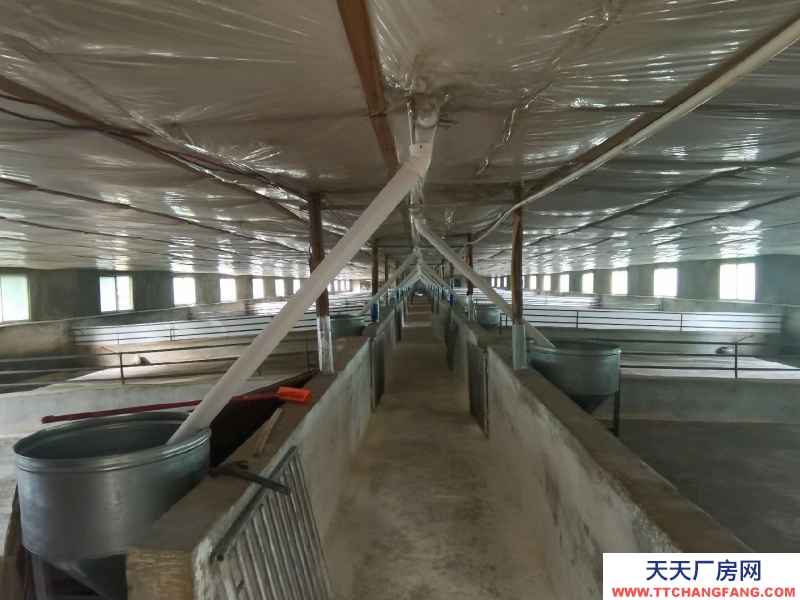 (出租) 南寧市西鄉塘西鄉塘周邊