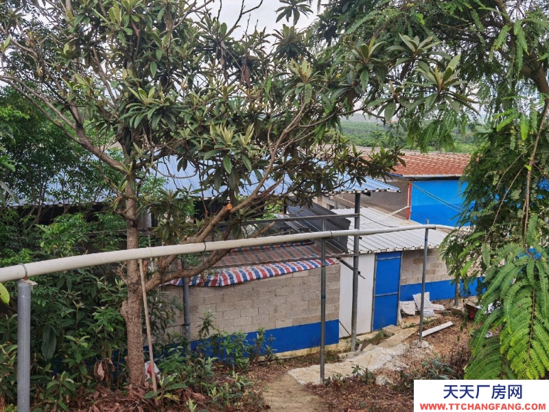 (出租) 南寧市西鄉塘西鄉塘周邊