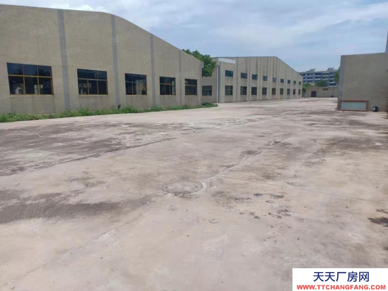 (出租) 東莞橋頭鎮單一層廠房倉庫出租17600平米,原房東出租