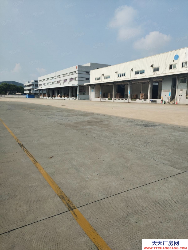 (出租) 東莞寮步鎮新出高標倉高臺倉庫,3層共計32000方,高度7米,