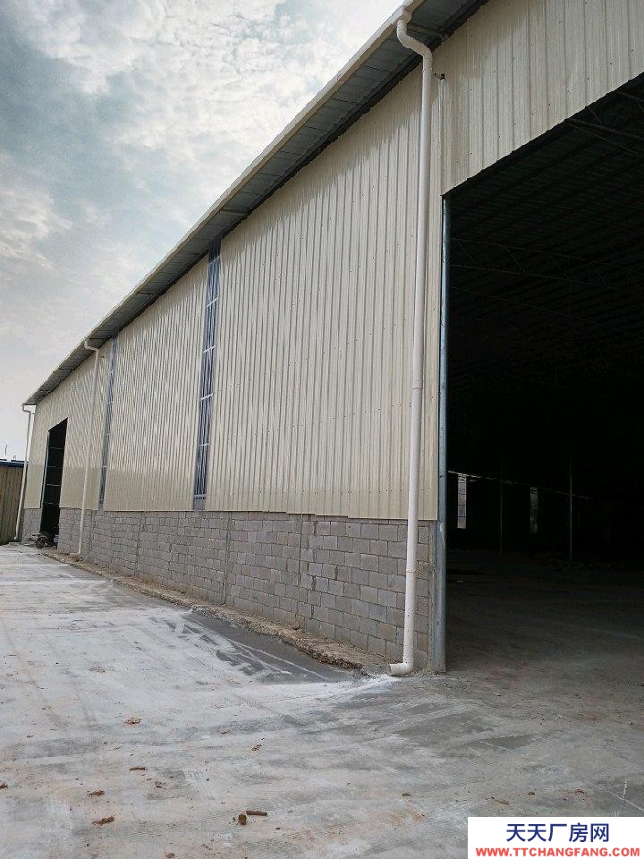 (出租)南寧市西鄉塘區 新倉庫出租。有意來電