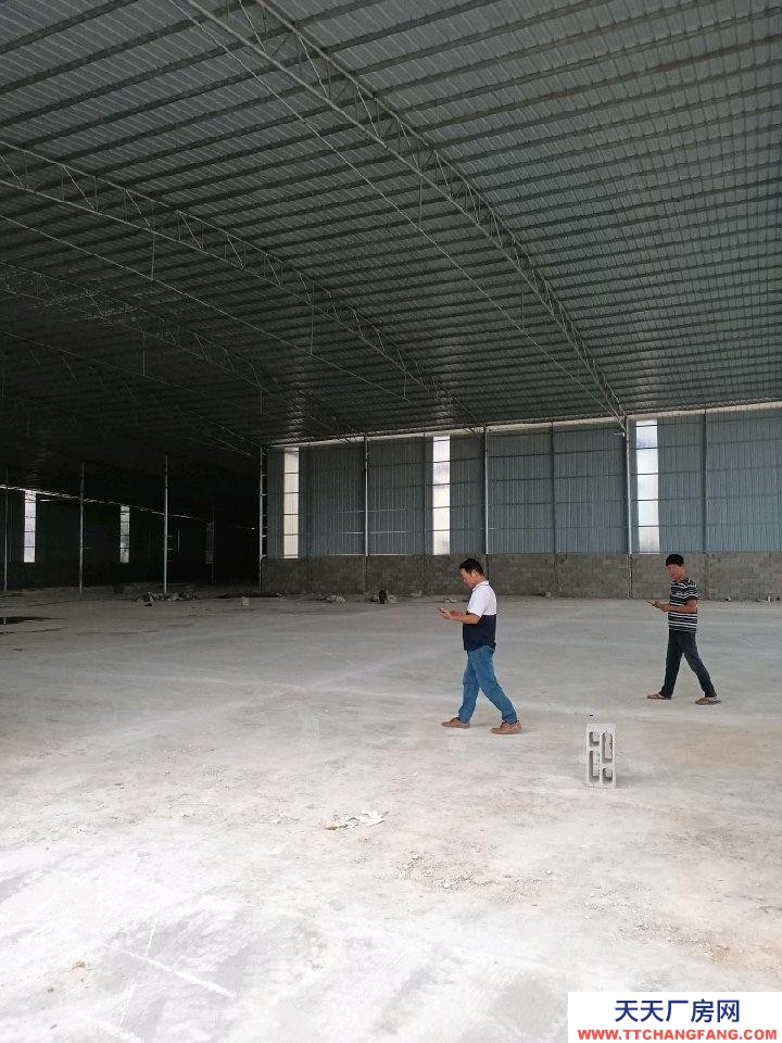 (出租)南寧市西鄉塘區 新倉庫出租。有意來電