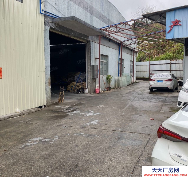 (出租) 廣州花都赤坭鎮磚墻到頂單一層2220方廠房倉庫出租可進17米大車