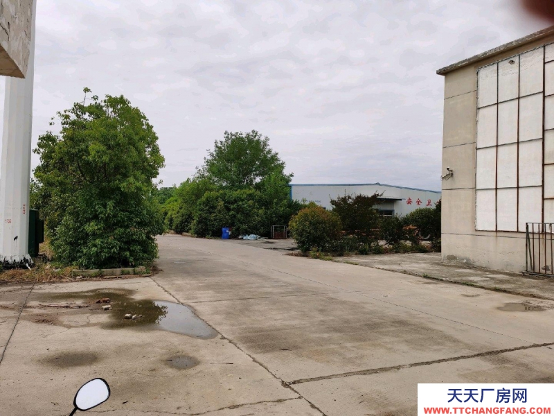 (出租) 蚌埠五河獨立廠房，環境優，低價急租，水，電，路，三通