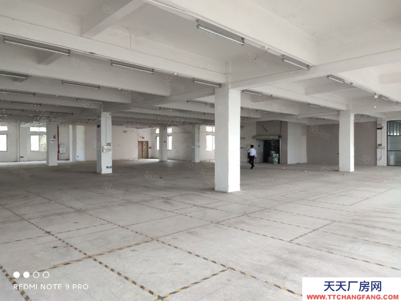 (出租) 廣州番禺大石會江標準樓上3000方廠房出租，價格美麗，交通方便