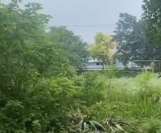 (出售) 荊州沙市沙岑路廠房 18.2畝 4000平鋼混廠房辦公樓 有行吊