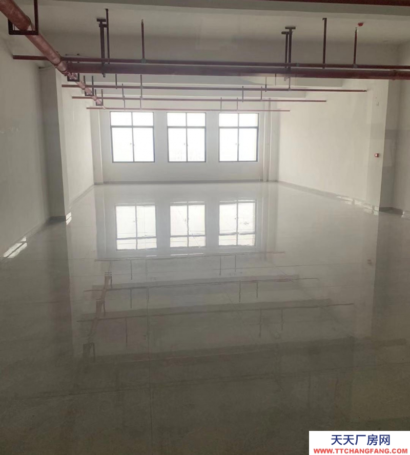 (出租) 南寧市西鄉塘區高新區廠房、辦公用房、商鋪、宿舍出租