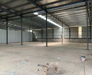 (出租) 1000平廠荊州市荊州區(qū)房一平9塊錢就問便不便宜