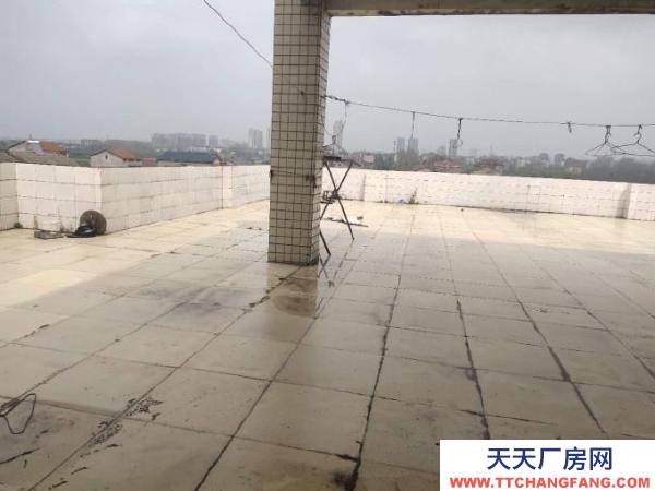 (出租) 荊州市公安縣.整幢招租,也可以分租