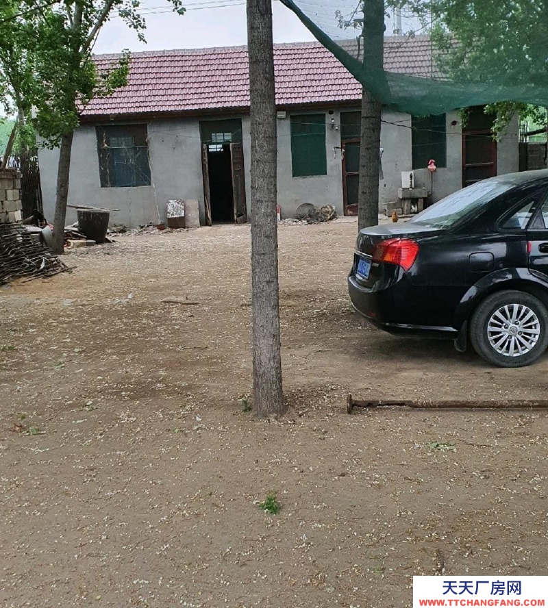 棗莊滕州吉廠出售，出租獨(dú)院，價(jià)格可議，房4間，吉棚4個(gè)。