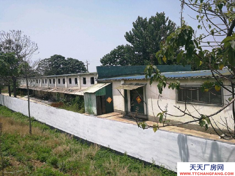 棗莊滕州上善公園 廠房 占地20畝，車間2000平。