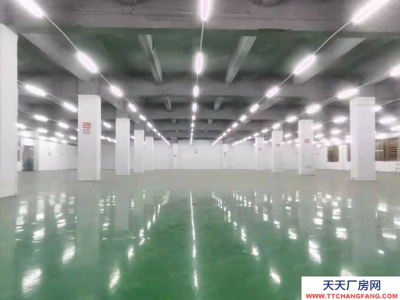 (出租) 廣州花都花山鎮(zhèn)三東大道附近工業(yè)園區(qū)廠房二樓1800平方出租,電梯3噸