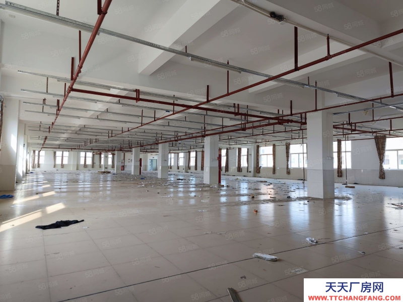 (出租) 廣州番禺獨院5600方花園式精裝修廠房，形象好