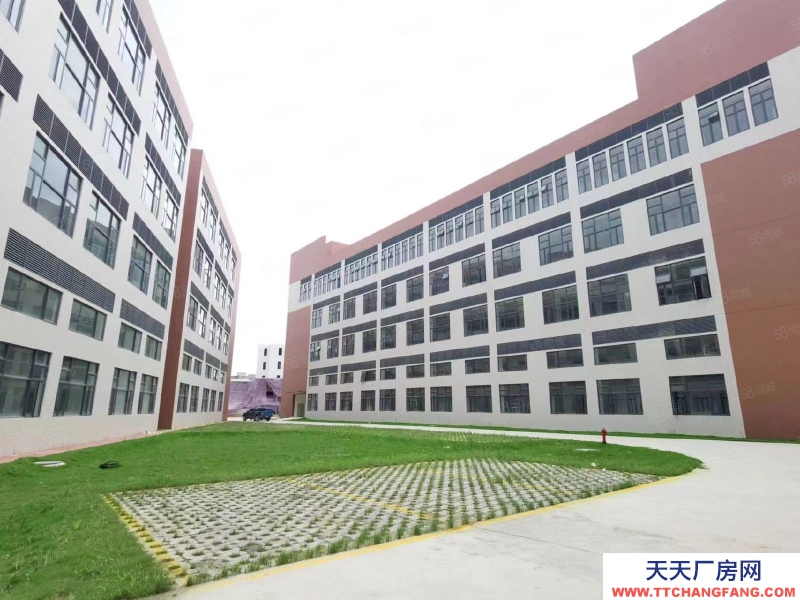 (出租) 廣州南沙新建51800方園區，可辦環評，資質齊全，丙二類消南沙防