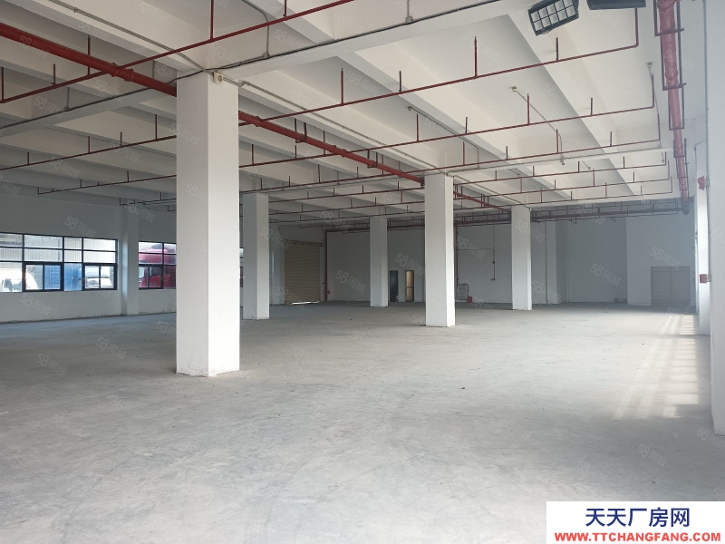 (出租) 廣州 南沙灣標準廠房8000方可分租,價格優惠