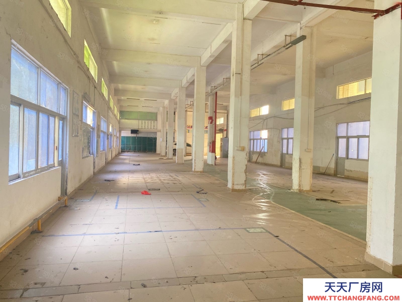 (出租) 廣州黃埔開發區東單一層1300方低價出租
